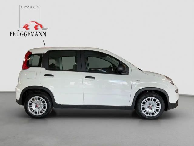 Fiat Panda 1.0 GSE Hybrid + Techpaket