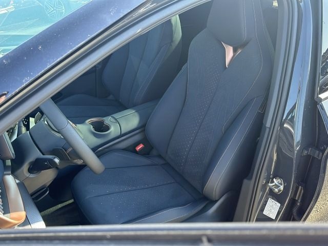 Cupra Tavascan Endurance