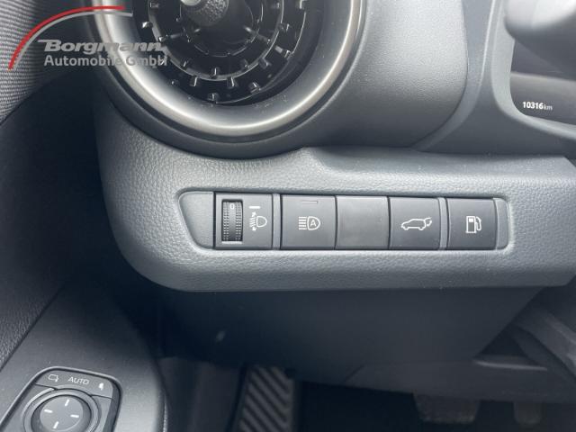 Toyota C-HR Hybride Team D