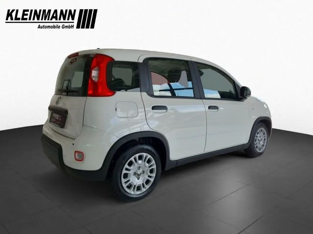 Fiat Panda "Pandina Urban" 1.0 GSE Hybrid (71 PS)