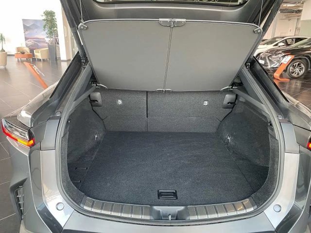 Lexus RZ Executive Line