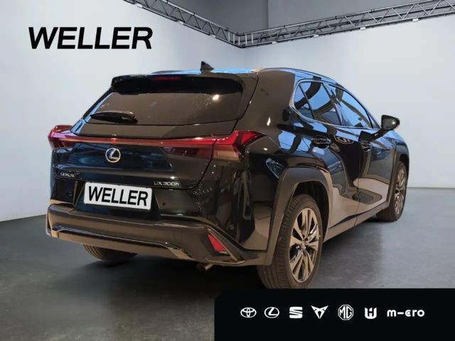 Lexus UX F Sport Sport