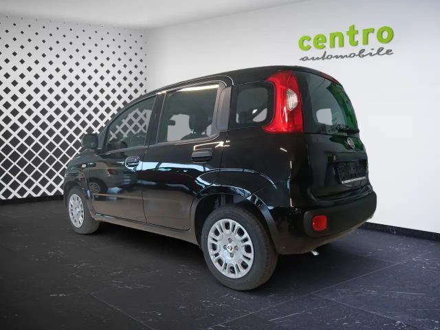 Fiat Panda 4x2