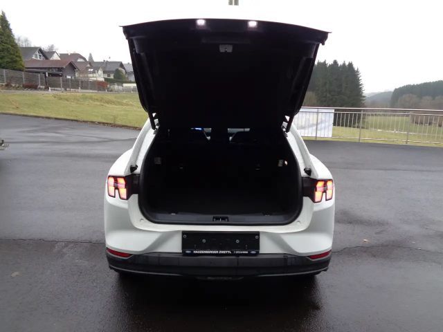 Ford Mustang Mach-E Basis