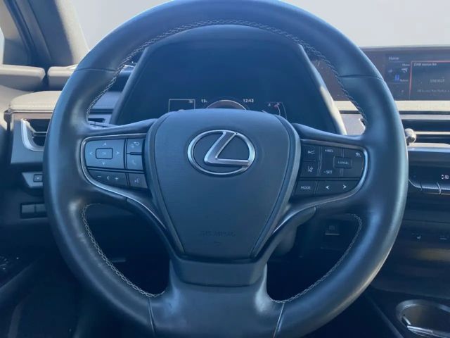 Lexus UX 250h Amazing edition