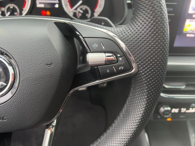 Skoda Kamiq 1.0 TSI Monte Carlo