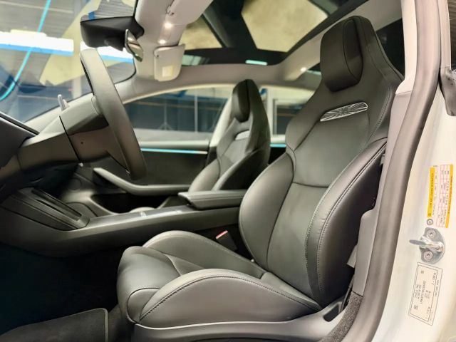 Tesla Model 3 Performance