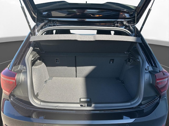 Volkswagen Polo 2.0 TSI DSG