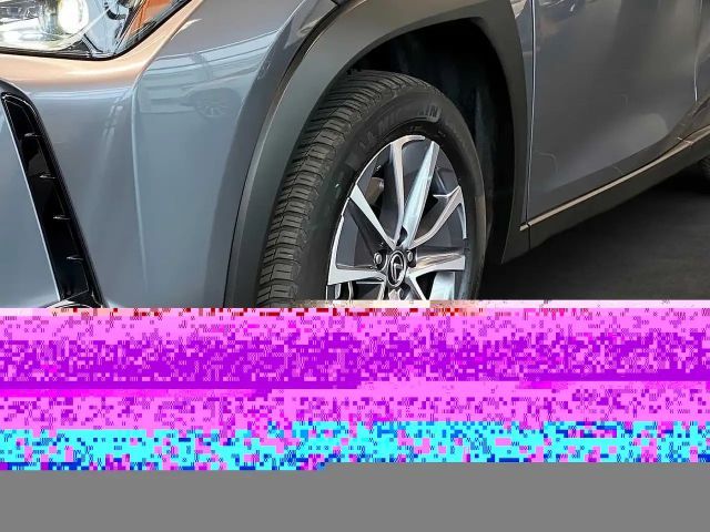 Lexus UX Executive Line