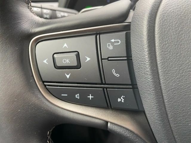 Lexus UX *Bi-LED*Leder*4x SHZ*el Sitze*Kamera*ACC*