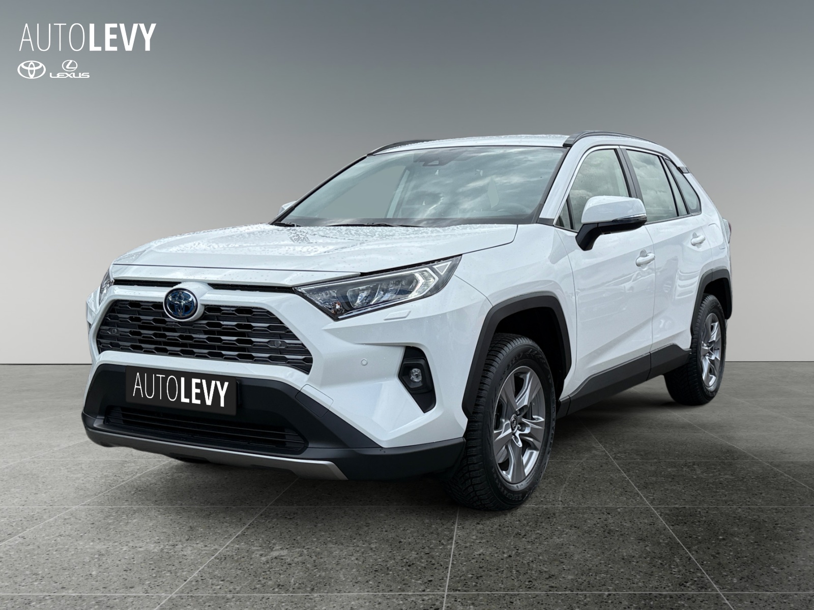 Toyota RAV4 5-deurs Business