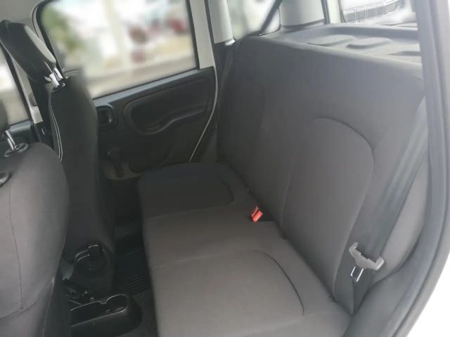 Fiat Panda Panda Mild Hybrid