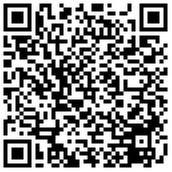 Volkswagen Golf DSG GTI Golf VIII Style