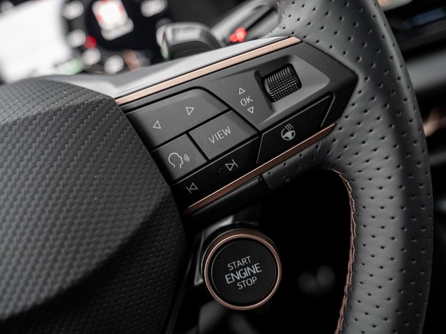 Cupra Terramar 1.5 TSI