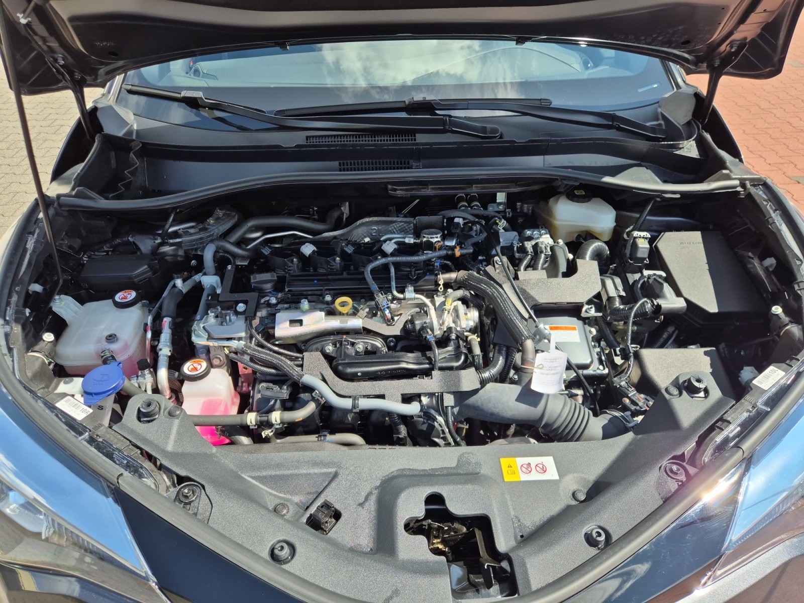 Toyota C-HR 5-deurs Plus