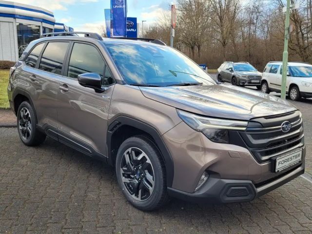 Subaru Forester Exclusive