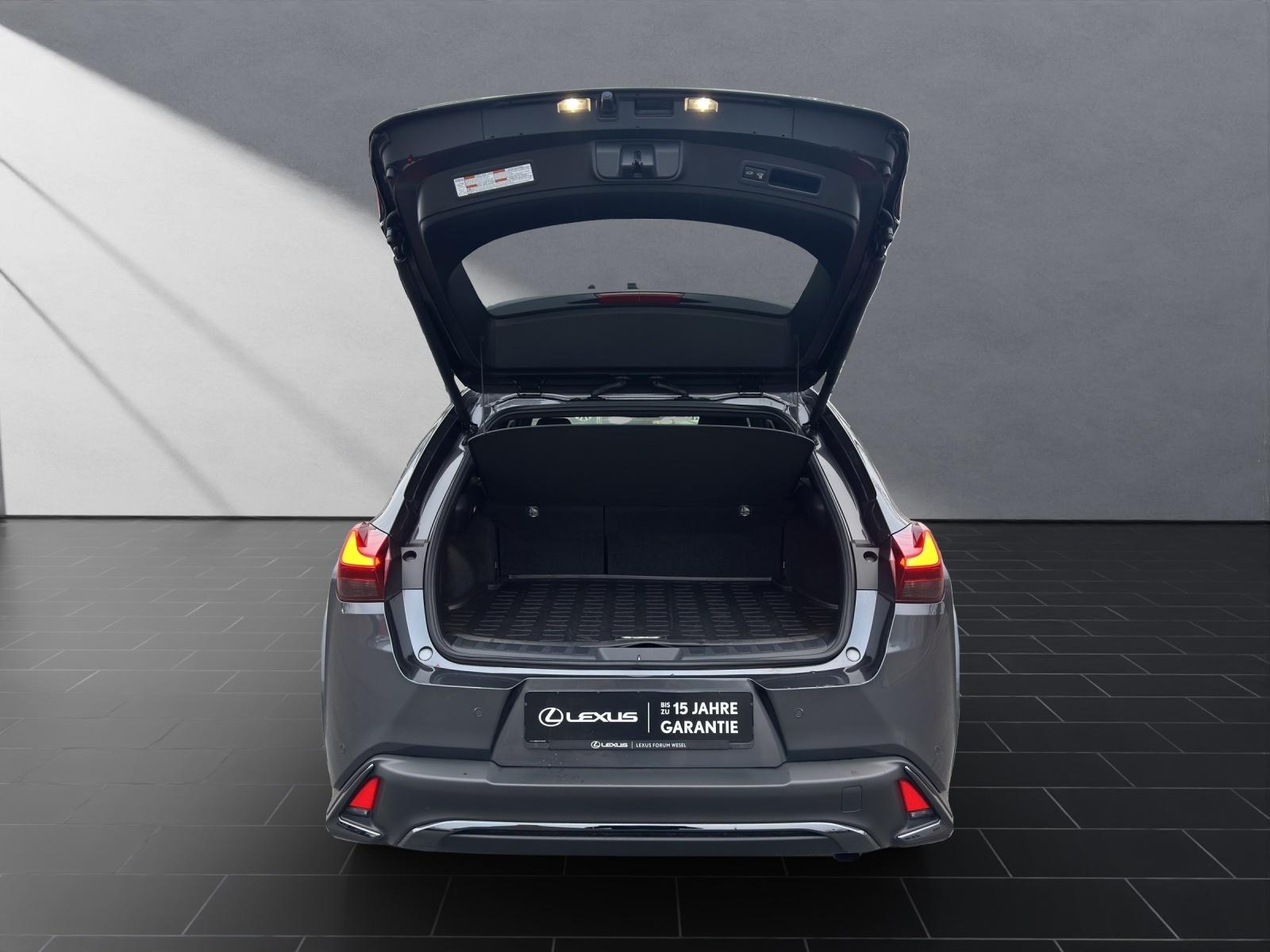 Lexus UX 250h F Sport Sport