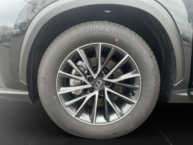 Lexus NX Executive Line