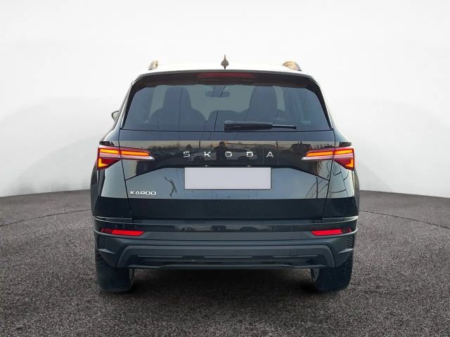 Skoda Karoq Selection