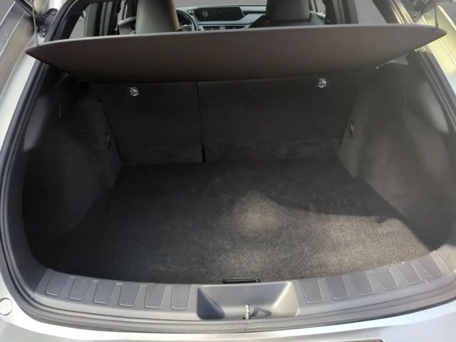 Lexus UX Basis Klima Kamera Sitzhzg Tempomat