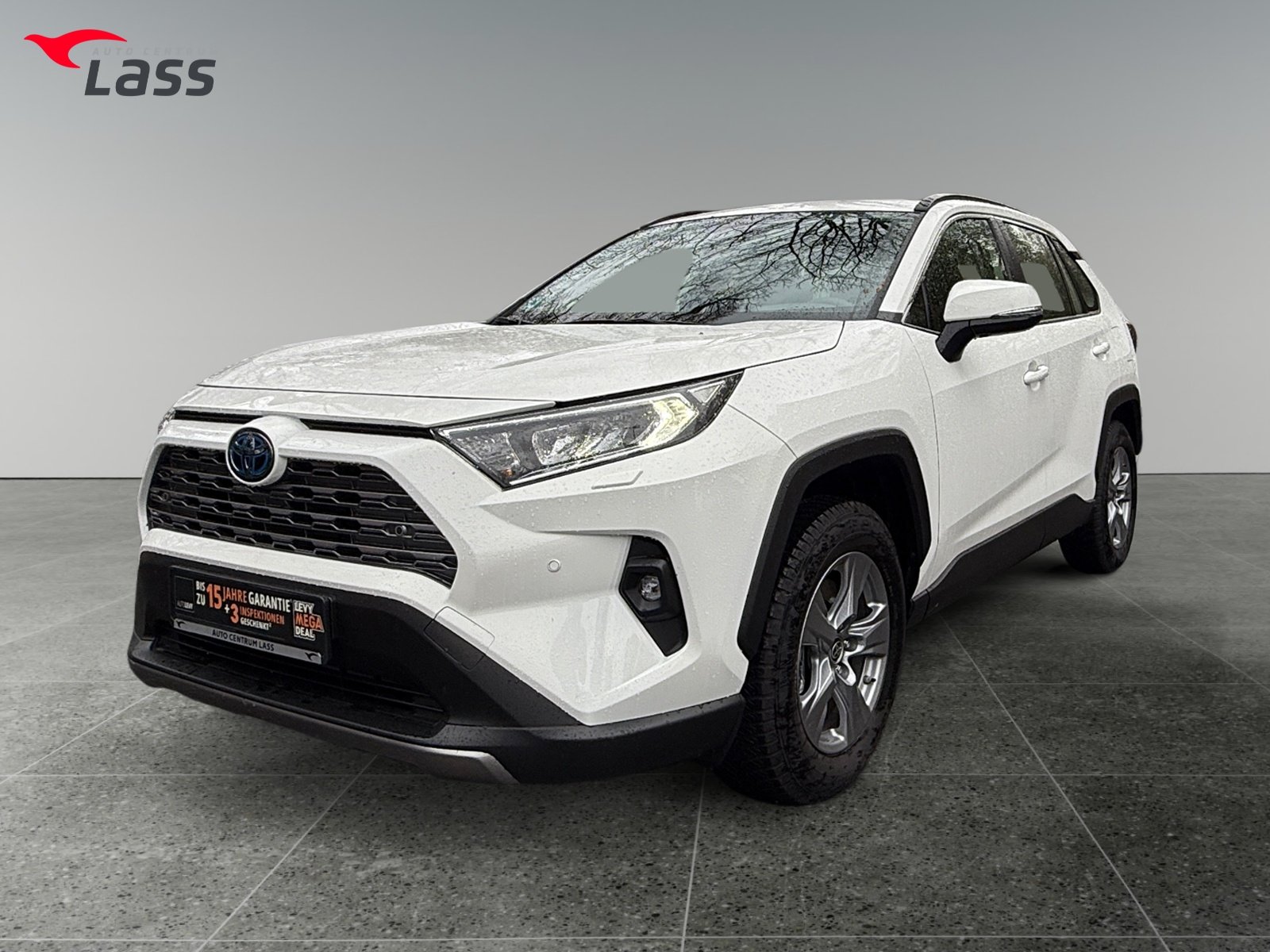 Toyota RAV4 5-deurs Business