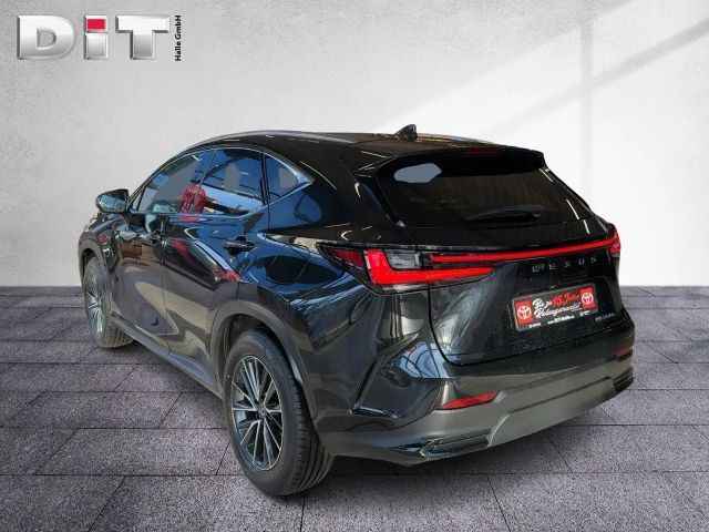 Lexus NX Executive Line