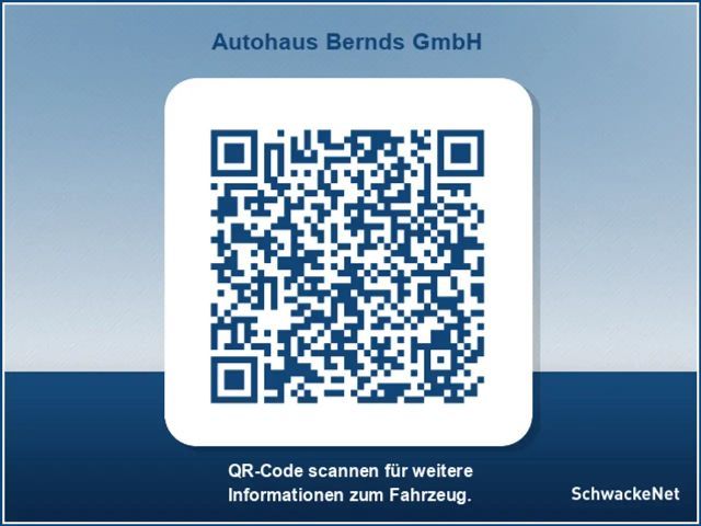 Renault Trafic Blue EDC Spaceclass