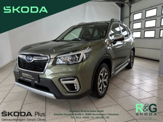 Subaru Forester Comfort