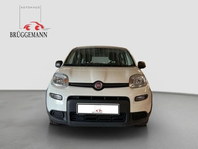 Fiat Panda 1.0 GSE Hybrid + Techpaket