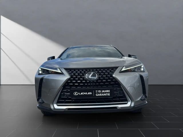 Lexus UX 250h