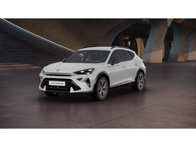 Cupra Formentor 2.0 TSI 4Drive DSG