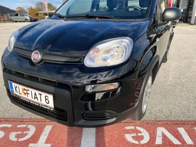 Fiat Panda 1,0 FireFly 70 Panda