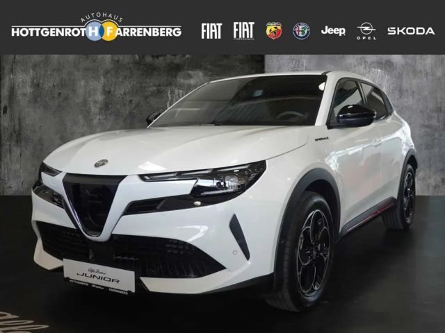 Alfa Romeo Junior Elettrica Speciale