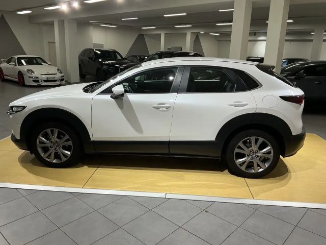 Mazda CX-30 150 PS Automatik*SHZ*LHZ*Head-UP