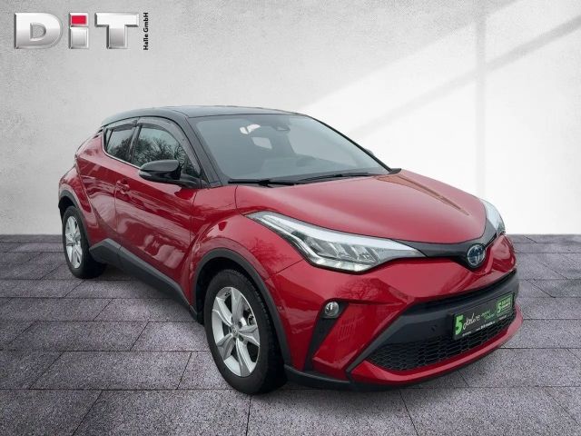 Toyota C-HR Team D