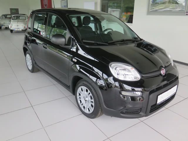 Fiat Panda Pandina