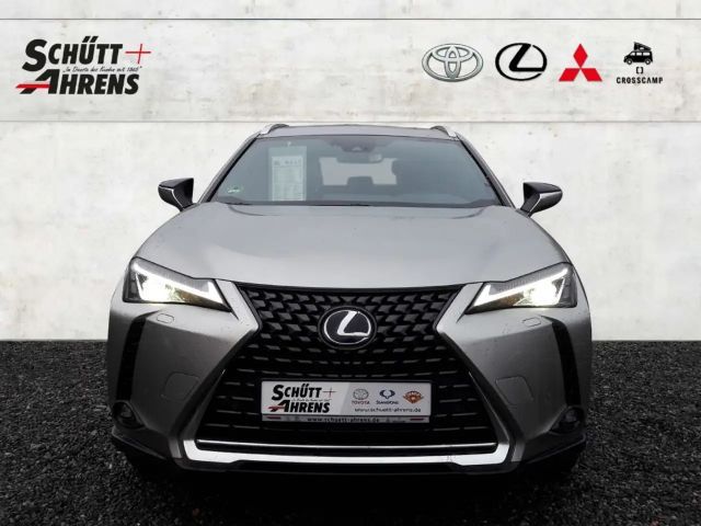 Lexus UX Exe LED ASSI ACC KAM Leder NAVI
