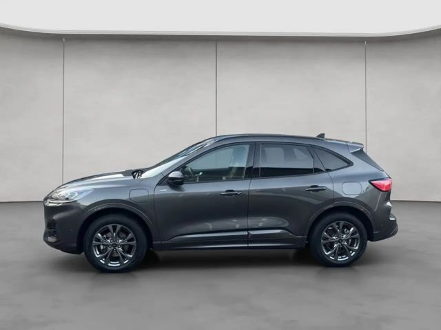 Ford Kuga Plug in Hybrid ST Line