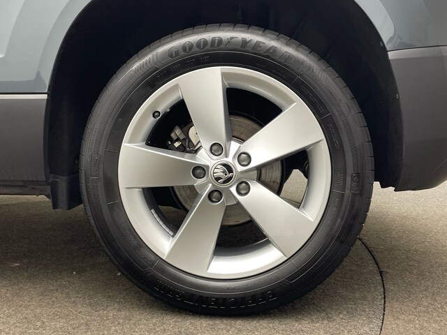 Skoda Karoq Karoq 1,5 l Kamera Navi AHK LED-Ablagen-Paket