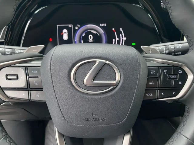 Lexus RX-Serie Business Line