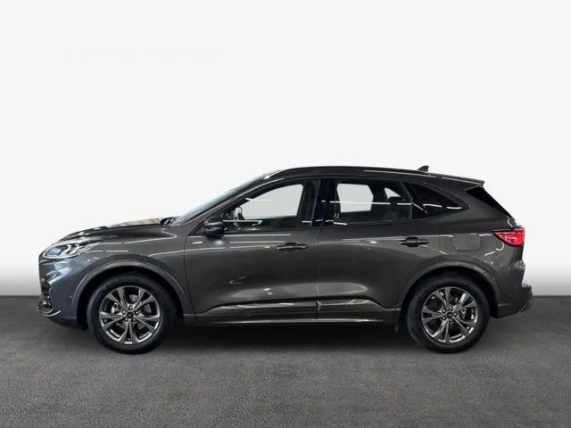 Ford Kuga ST Line