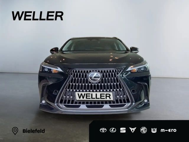 Lexus NX Executive Line