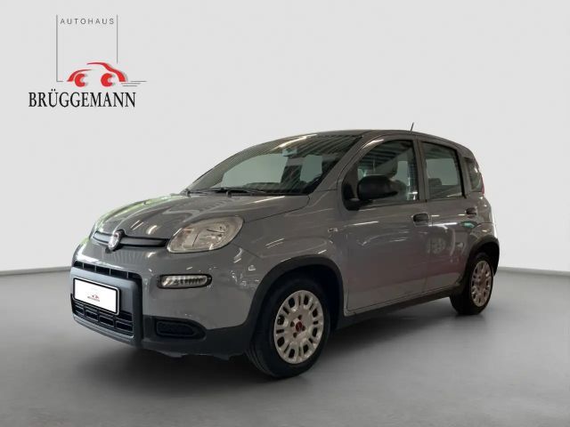 Fiat Panda 1.0 GSE Hybrid + Techpaket