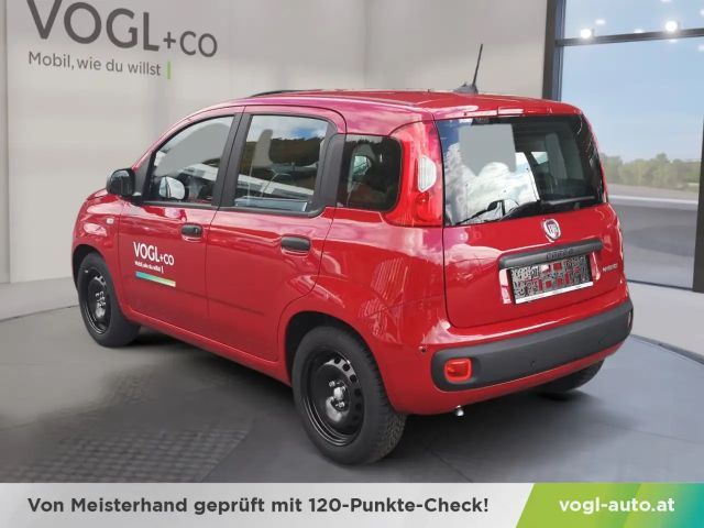 Fiat Panda Panda Pandina Mild Hybrid