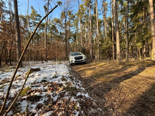 Subaru Forester Black Friday Sonderpreis gültig bis 28.11.2025