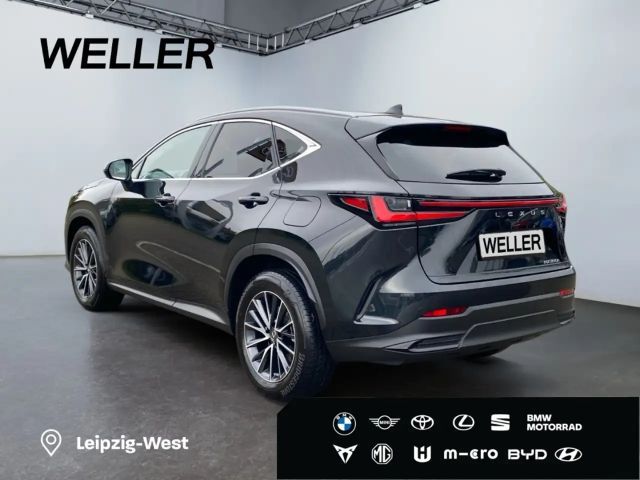 Lexus NX Executive Line