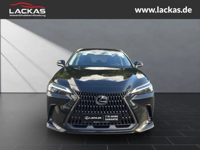Lexus NX Executive Line