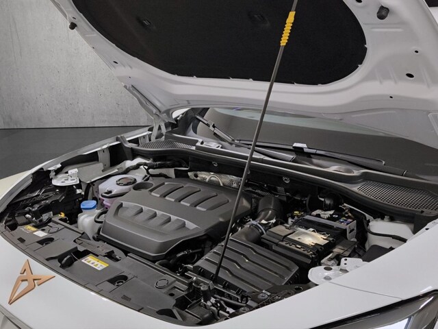 Cupra Formentor 2.0 TSI 4Drive DSG VZ