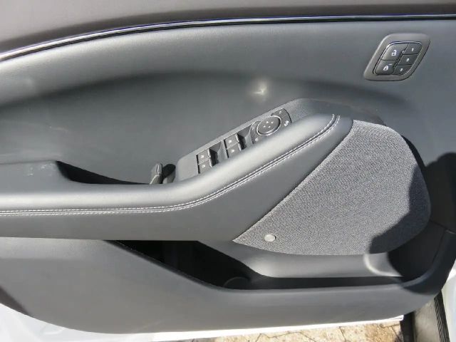 Ford Mustang Mach-E Basis