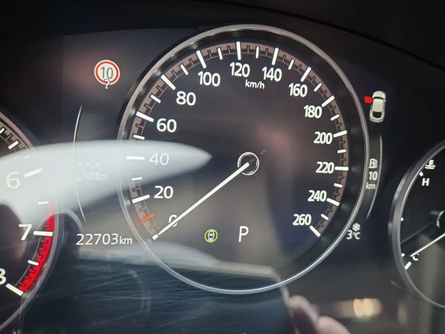 Mazda CX-30 2.5 Nagisa Automatik *Navi*BOSE*